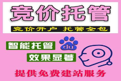 百度竞价排名案例研究：如何制定有效的广告计划？
